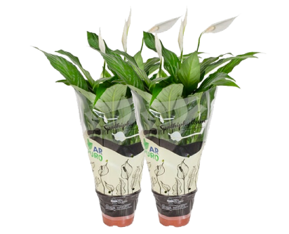 Produto Savana Embalagens